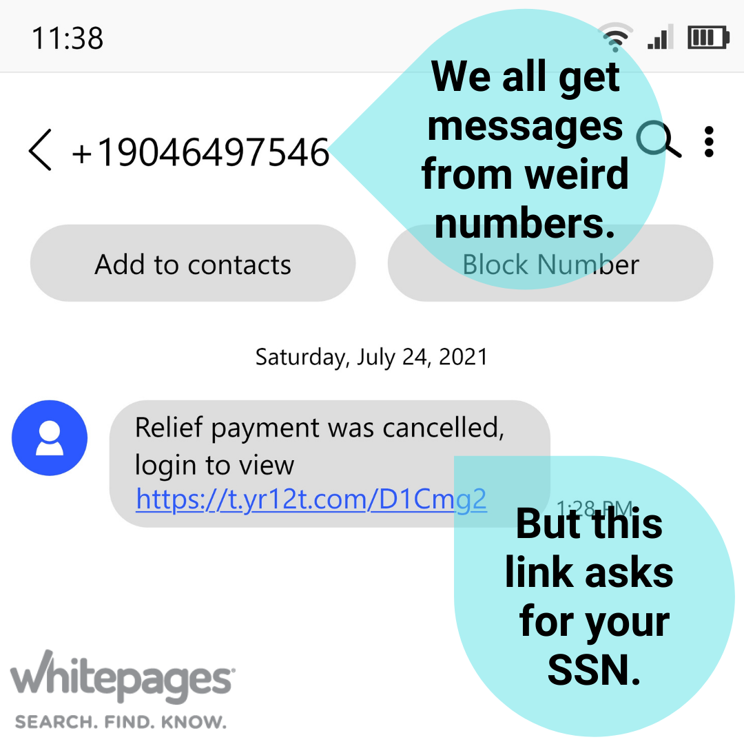 Image of text message window showing an unknown contact from +1 (904) 6497546 received Saturday, July 24, 2021. A message "Relief payment was cancelled, login to view https://t.yr12t.com/D1Cmg2". There are two teal text boxes, one points to the phone number and says "We all get messages from weird numbers." the second points to the message "But this link asks for your SSN."
