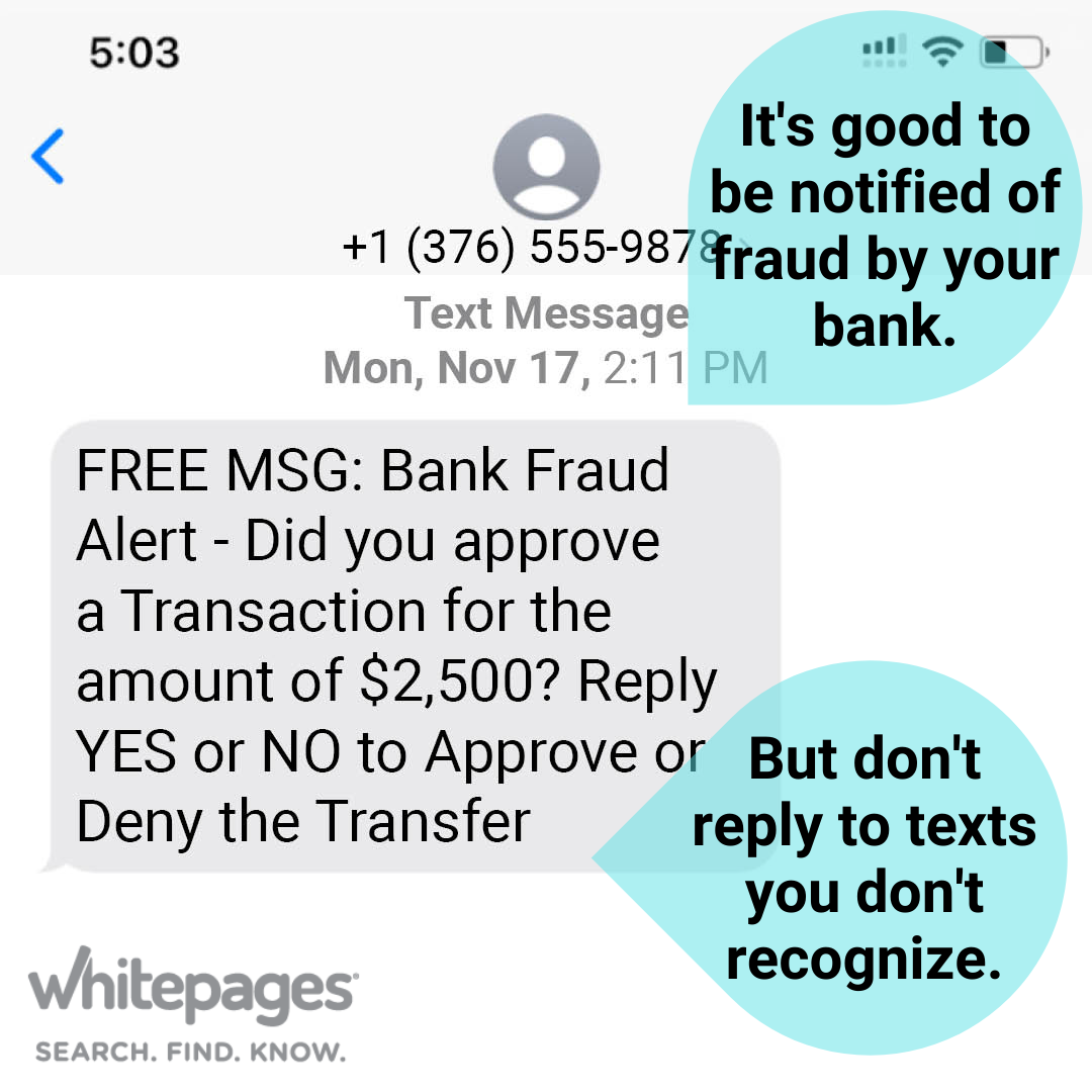 Image of text message window showing an unknown contact from +1 (376) 555-9878 received Mon, Nov 17, 2:11 PM. A message "FREE MSG: Bank Fraud Alert - Did you approve a Transaction for the amount of $2,500? Reply YES or NO to Approve or Deny the Transfer". There are two teal text boxes, one points to the received date of the text message and says "It's good to be notified of fraud by your bank." the second points to the message and says "But don't reply to texts you don't recognize."
