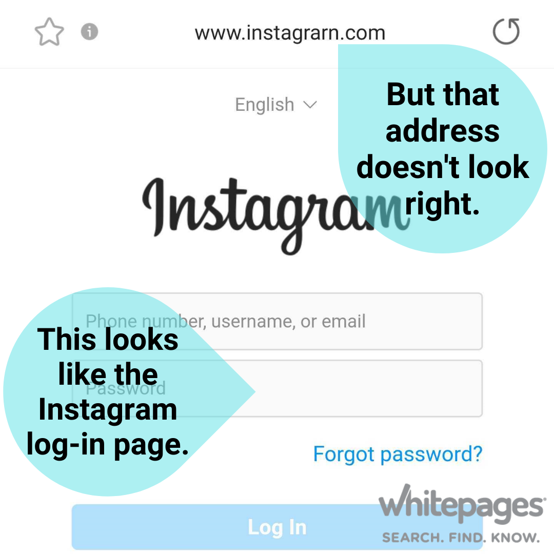 Image of Instagram log-in page. The website in the address bar reads "www.instagrarn.com". There are two teal text boxes, one points to the log-in text boxes and says "This looks like the Instagram log-in page." the second points to the address bar and says "But that address doesn't look right."