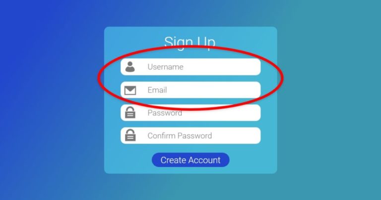 image of an illustrated "sign-up" screen. the fields "username" and "email" are circled in red.